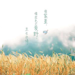 美国性感美女裸体视频
